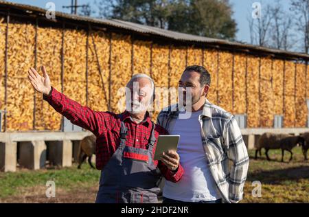 Happy farm workers cooperating while using digital tablet on a farm. Senior man is showing something in the distance. Stock Photo