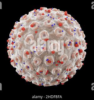 COVID-19 Corona virus with spike glycoprotein . Fine detailed cracked texture . Black color isolated background . 3D render . Embedded clipping paths Stock Photo