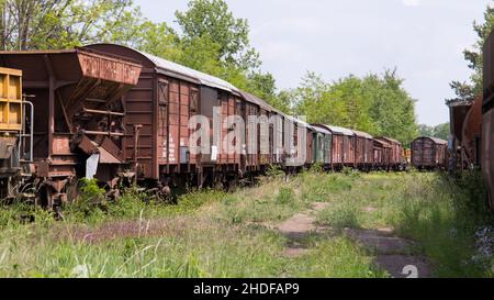 Old and abandoned train wagons in a forest at a lost place railway station Stock Photo