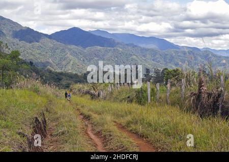 Papua New Guinea; Eastern Highlands; Goroka; Namta (Mefenga); Papuans on a dirt road in the mountains. Papuas auf einem Schotterweg in den Bergen. Stock Photo