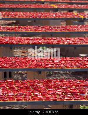 tomatoes, dried tomatoes, tomato, dried tomatoe Stock Photo
