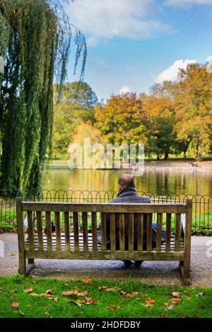 Man sitting on bench overlooking the lake in St James Park, London Stock Photo