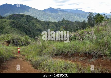 Papua New Guinea; Eastern Highlands; Goroka; Namta; Papuan woman on a dirt road in the mountains. Papuanische Frau auf einem Schotterweg in den Bergen Stock Photo