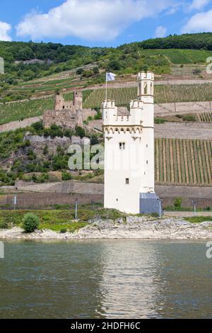 Bingen Mouse Tower in the Rhine, in the Upper Middle Rhine Valley World Heritage Site, Ehrenfels Castle at the back, Bingen, Rhineland-Palatinate, Ger Stock Photo