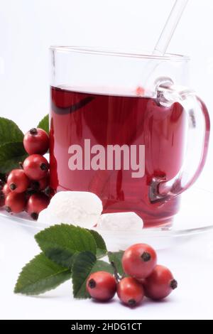 rose hip tea, rose hip teas Stock Photo