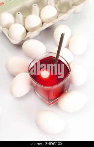 chicken egg, egg dyeing, dyeing, chicken eggs Stock Photo