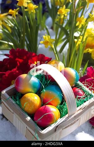 easter, easter eggs, easter time, easters, easter egg Stock Photo