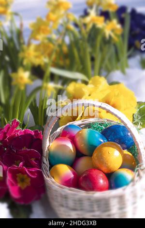 early spring, easter time, easters Stock Photo
