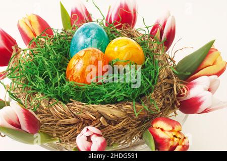easter egg, easter nest, easter eggs, easters Stock Photo