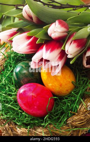 easter, easter egg, easters, easter eggs Stock Photo