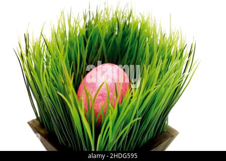 easter egg, easter nest, easter grass, easter eggs, easters Stock Photo