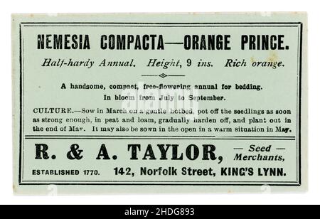 Original early 1900's seed packet containing seeds for Nemesia strumosa compacta, of the variety 'Orange Prince' from seed merchants R & A Taylor of King's Lynn, Norfolk, England, U.K. circa 1930's. Stock Photo