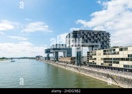 cologne, rhine river, colognes, rhine, rhine rivers Stock Photo