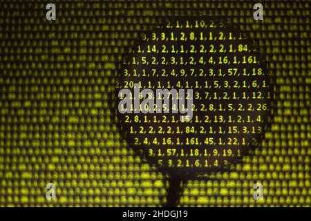 check, coding, number order, checks, countdown, number orders Stock Photo