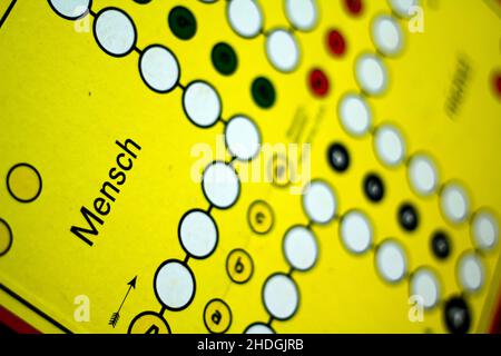 ludo, society game, ludos, games, gaming Stock Photo
