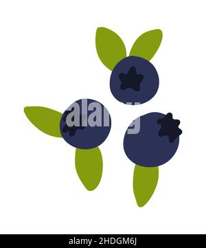 Blueberry. Doodle bilberry. Vector huckleberry food icon Stock Vector