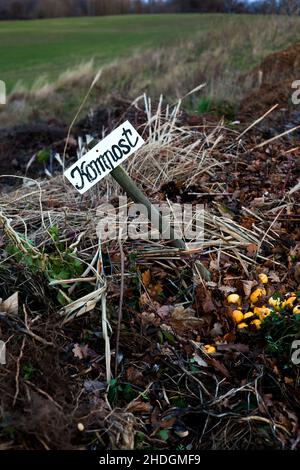 compost, compost heap, composts, compost heaps Stock Photo