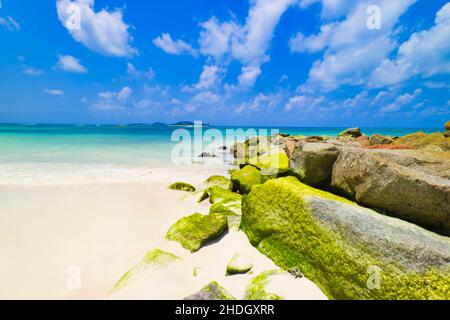 The Beach Anse Kerlan, Praslin Island, Seychelles, Indian Ocean - Africa Stock Photo