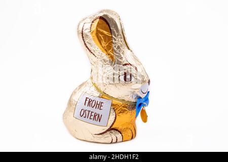 easter bunny, chocolate bunny, happy easter, easter bunnies, chocolate bunnies, happy easters Stock Photo