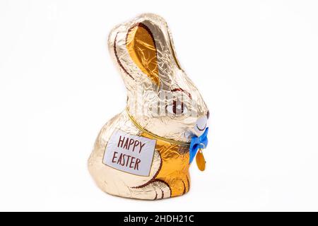 easter bunny, chocolate bunny, happy easter, easter bunnies, chocolate bunnies Stock Photo