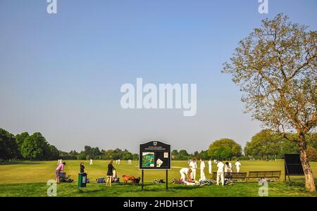 Cricket match on Eton College Playing Fields, Eton, Berkshire, England, United Kingdom Stock Photo