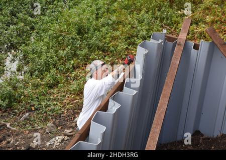 6 neighbors helping each other to install a sea wall while water is low after 8 year drought in California's Clear Lake in winter in boat channel Stock Photo