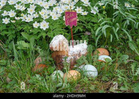 easter eggs, happy easter, easter hinding place, easter egg, happy easters, hinding places Stock Photo