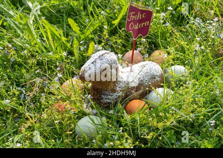 easter, happy easter, easter hinding place, easters, happy easters, hinding places Stock Photo