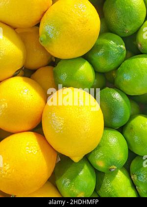 Full frame food background of fresh and organic lemons and limes on a market stall with copy space Stock Photo