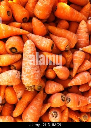 Full frame food background of small heritage Chantenay carrots on a market stall with copy space Stock Photo