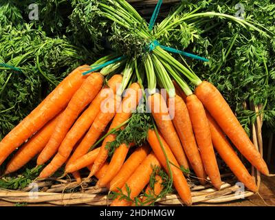 Fresh and organic Heritage carrots on a market stall with copy space Stock Photo