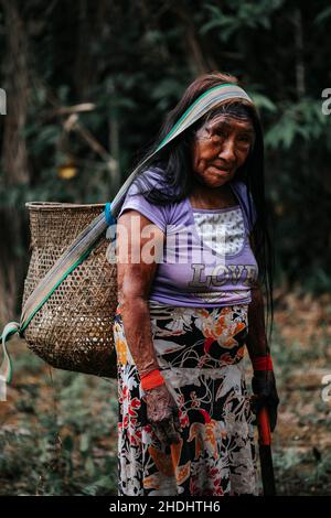 Indigenous Woman farming yucca in Amazon Rainforest Stock Photo