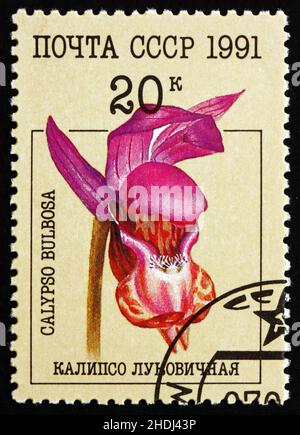 RUSSIA - CIRCA 1991: a stamp printed in the Russia shows Fairy Slipper, Calypso Bulbosa, Orchid, circa 1991 Stock Photo