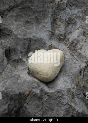 stone, cordate, stones, cordates Stock Photo