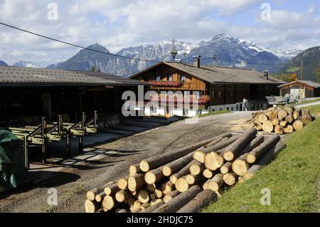 timber industry, tirol, lumber industry, timber industries, tirols Stock Photo