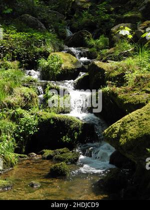 torrent, gaishöll waterfalls, torrents Stock Photo