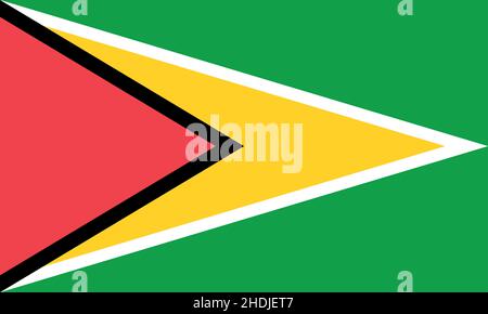 Guyana official flag of country Stock Vector