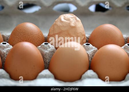 chicken egg, yolkless egg, chicken eggs Stock Photo