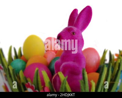 easter bunny, easter bunnies Stock Photo