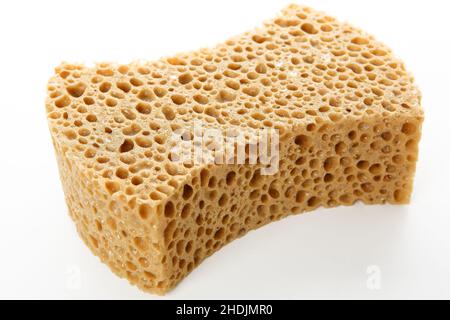 sponge, natural sponge, sponges, natural sponges Stock Photo