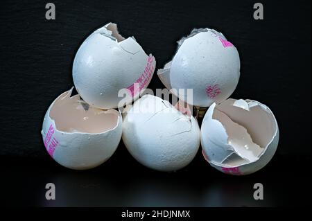 White eggshells of chickens on black background Stock Photo
