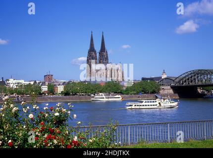 city trip, cologne, cologne cathedral, rhine river, city trips, colognes, cologne cathedrals, rhine, rhine rivers Stock Photo