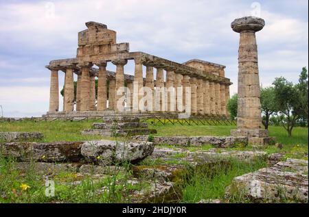 ancient world, paestum, greek temple, ancient worlds, paestums, greek temples Stock Photo