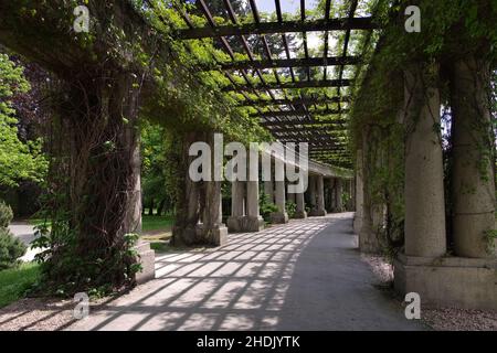 park, arcade, pergola, parks, arcades, pergolas Stock Photo