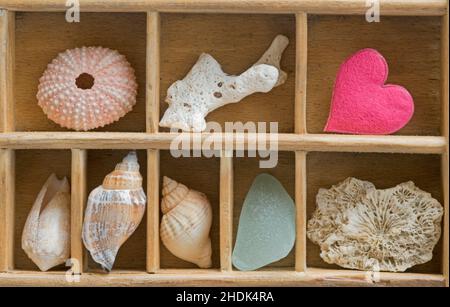collecting, heart, case, hearts, cases Stock Photo