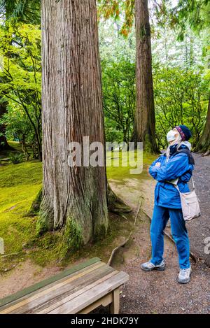 Tourists exploring the Portland Japanese Gardens; Portland; Oregon; USA Stock Photo