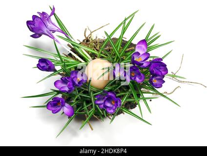 easter, easter egg, crocus, easters, easter eggs Stock Photo