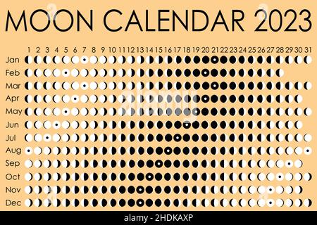 2023 Moon calendar. Astrological calendar design. planner. Place for stickers. Month cycle planner mockup. Isolated black and white vector Stock Vector