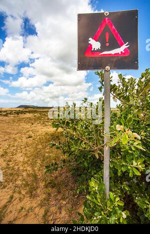 predator, warning sign, national park, iSimangaliso Wetland Park, predators, warning signs, national parks Stock Photo