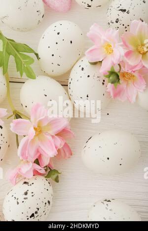 quail, spring decoration, quails, spring decorations Stock Photo